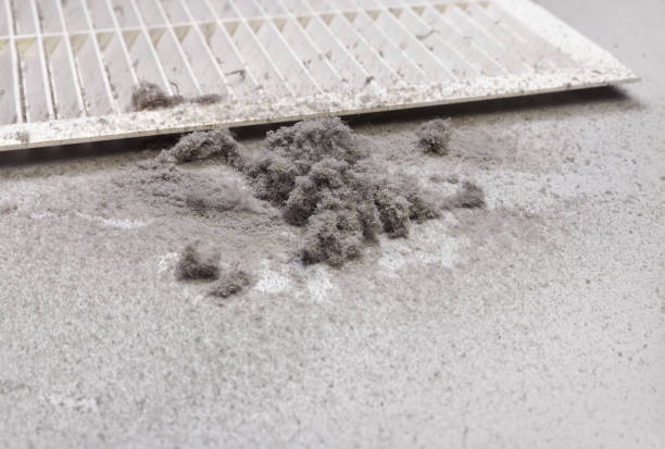 Best Dryer Vent Cleaning Services  in Oak Forest, IL