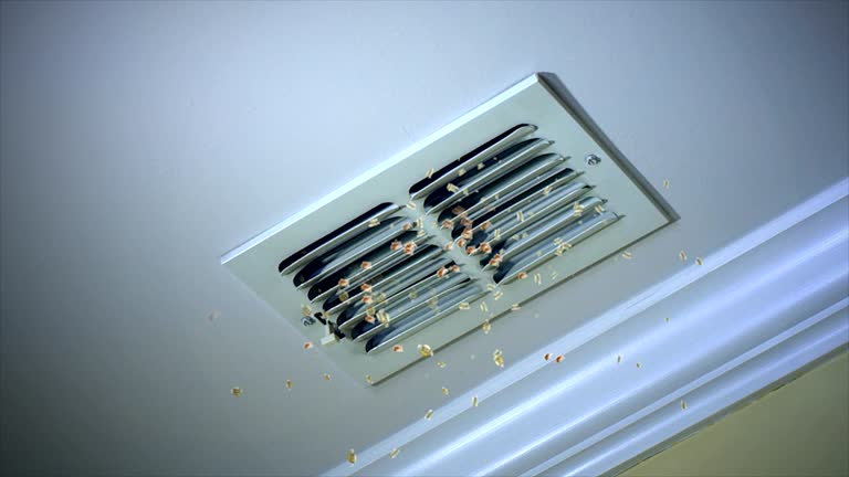 Best Professional Duct Cleaning Services  in Oak Forest, IL