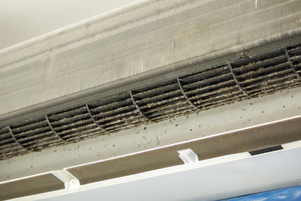 Best Professional Duct Cleaning Services  in Oak Forest, IL