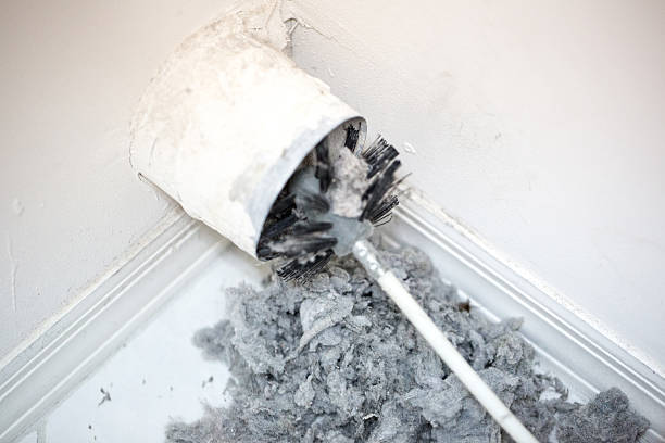 Best Air Duct Cleaning Company Near Me  in Oak Forest, IL